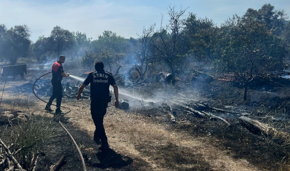 Zeytinlik alanda yangın: 40 dekar arazi zarar gördü Umurlu Mahallesi, Kanyaşı mevkiinde meydana gelen arazi yangınında 40 dekar