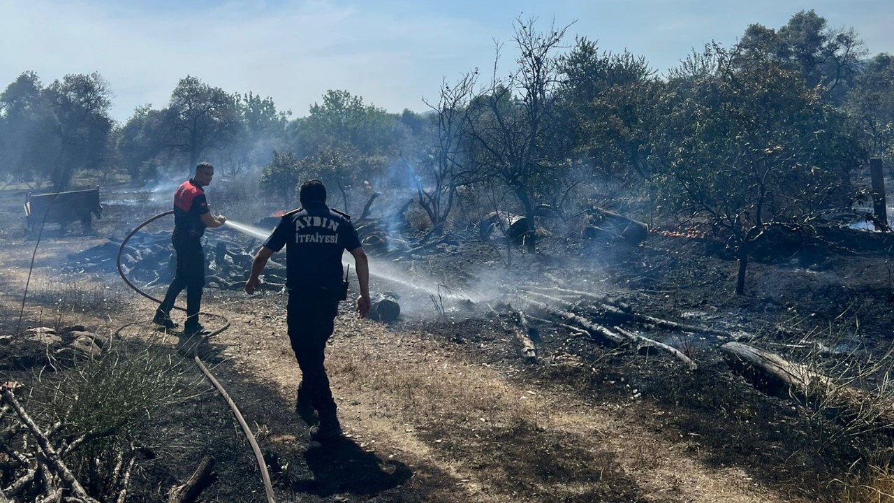 Umurlu Mahallesi, Kanyaşı mevkiinde meydana gelen arazi yangınında 40 dekar