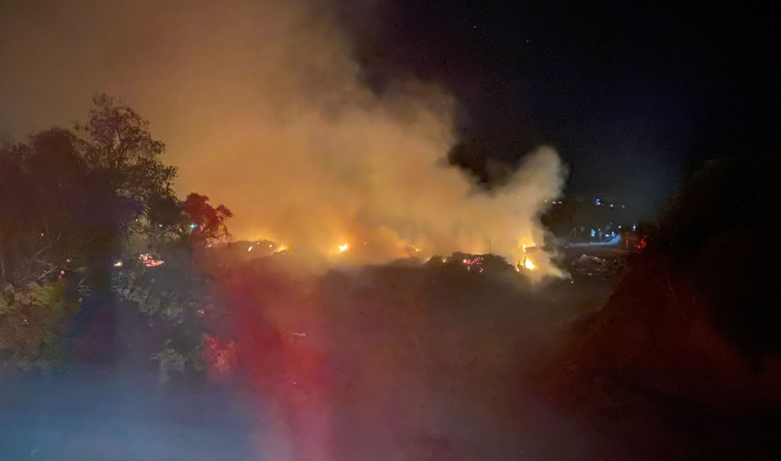 Yangın akşam saatlerinde Salavatlı Mahallesinde meydana geldi.