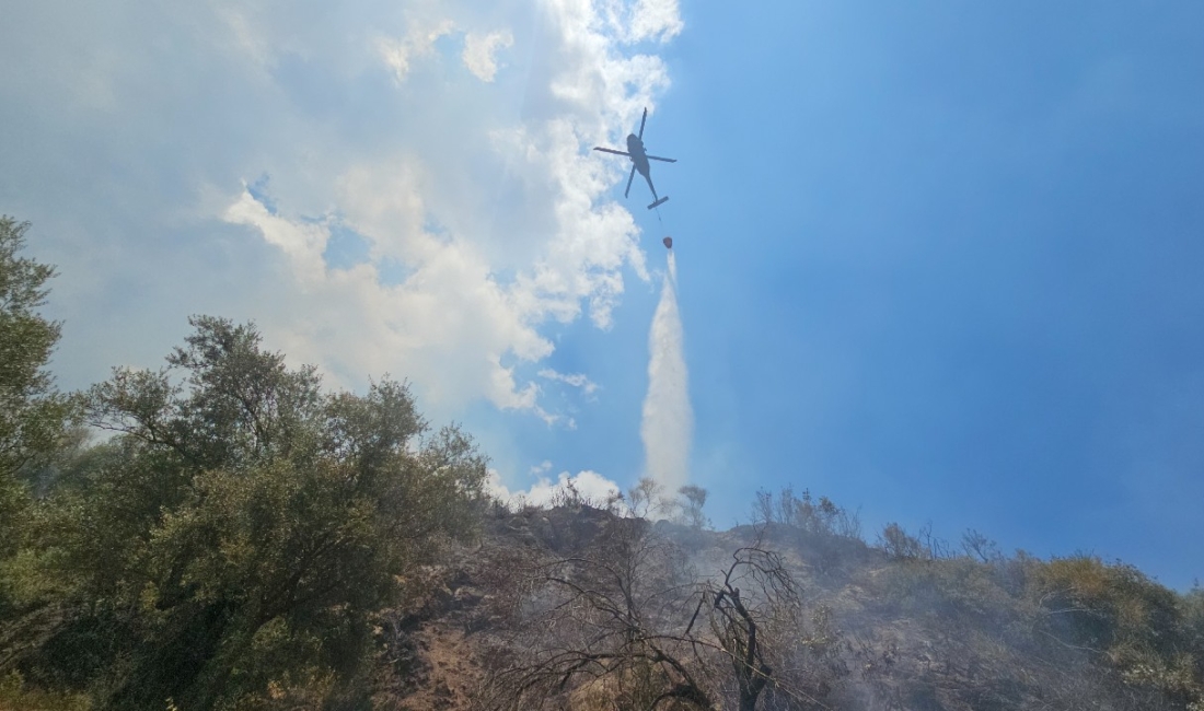 Yangın saat 12:00 sıralarında Köşk’e bağlı Cumayanı Mahallesinde meydana geldi.