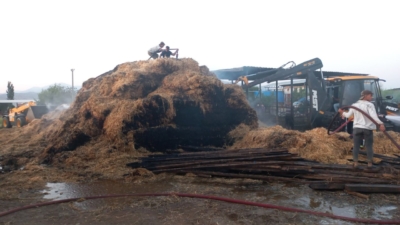 Köşk'te bir besihanede çıkan yangında,  kurtarılırken yaklaşık bin 200