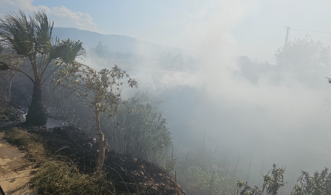 Yangın saat 15:30 sıralarında Serdaroğlu Mahallesi, Aynakadın Mevkiinde meydana geldi.