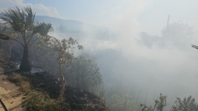 Yangın saat 15:30 sıralarında Serdaroğlu Mahallesi, Aynakadın Mevkiinde meydana geldi.