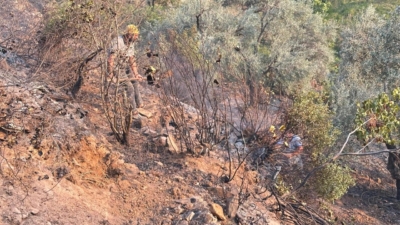 Yangın saat 17:30 sıralarında Ketenyeri Mahallesi yakınlarında meydana geldi.