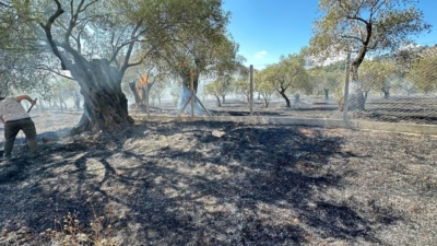 Yangın, saat öğle saatlerinde Baklaköy Mahallesi yakınlarında meydana geldi.