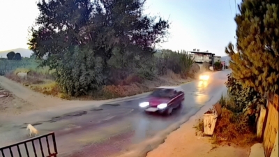 Köşk – Dalama karayolunda bir otomobilin sokak köpeği ile çarpıştığı