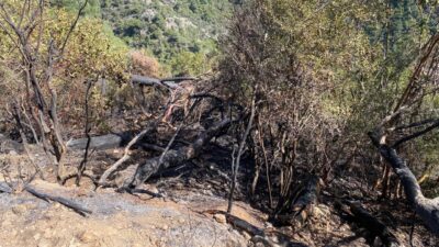 Akçaköy Mahallesi yakınlarında meydana gelen orman yangını sabaha karşı saat