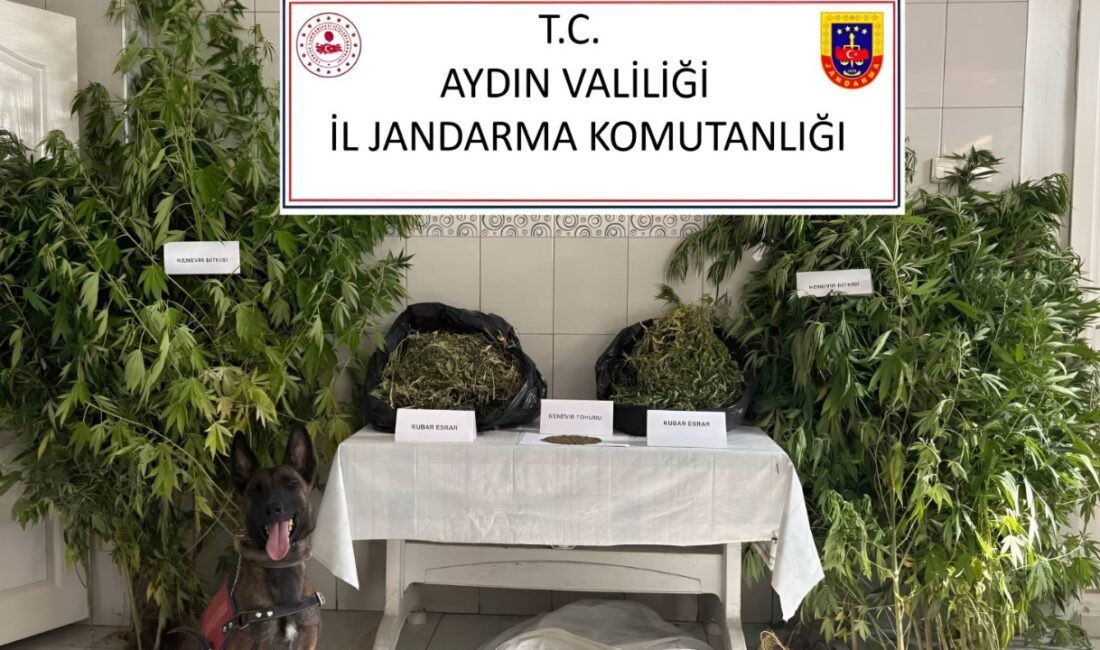 Köşk’te uyuşturucu operasyonu Köşk'e bağlı Gökkiriş Mahallesinde uyuşturucu ticareti yaptığı ve yasadışı kenevir