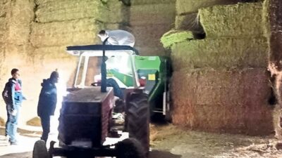 Edinilen bilgiye göre, Serdaroğlu Mahallesinde yaşayan Suriye uyruklu A. A.