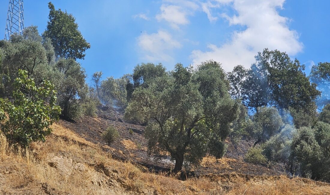 Yangın saat 13:30 sıralarında Baçayır Mahallesi girişinde meydana geldi.