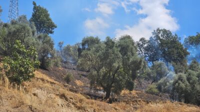Yangın saat 13:30 sıralarında Baçayır Mahallesi girişinde meydana geldi.