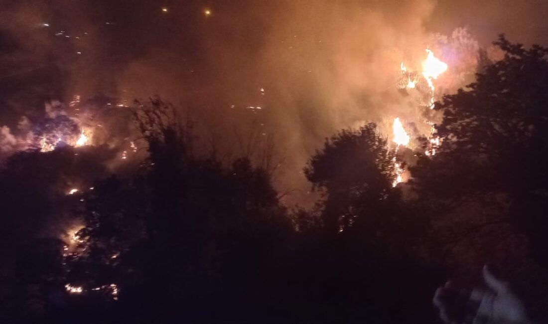Kızılcaköy Mahallesi yakınlarında bulunan ormanlık bölgedr henüz bilinmeyen bir nedenle