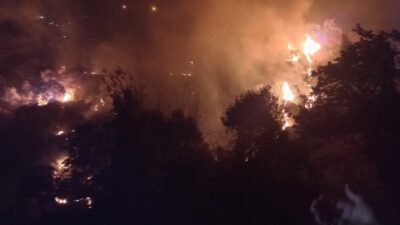 Kızılcaköy Mahallesi yakınlarında bulunan ormanlık bölgedr henüz bilinmeyen bir nedenle