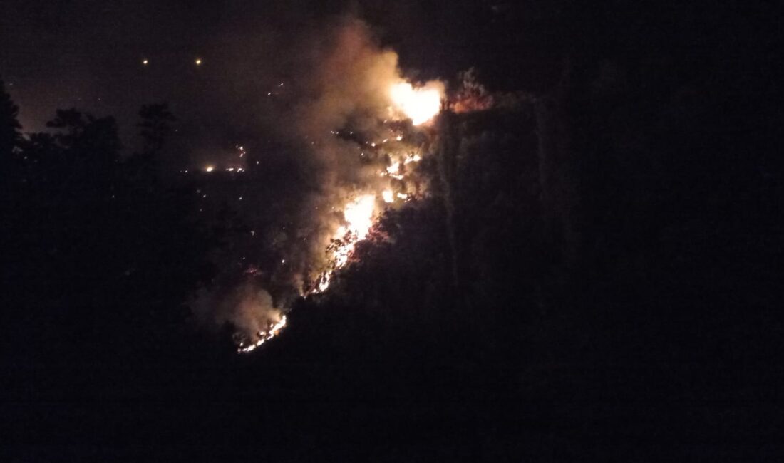 Kızılcaköy’de meydana gelen yangın kontrol altına alındı Köşk’e Kızılcaköy Mahallesi yakınlarında bulunan ormanlık bölgede meydana gelen yangın