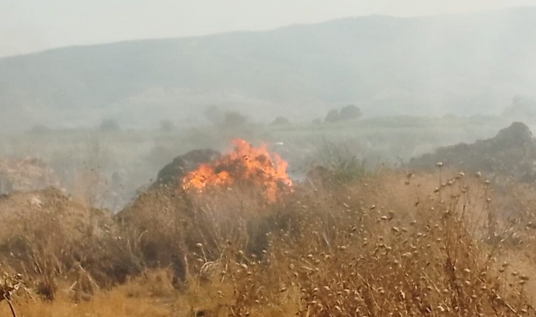 Altıeylül Mahllesinde korkutan yangın Yangın bugün saat 17:00 sıralarında Köşk, Altıeylül Mahallesinde meydana geldi.