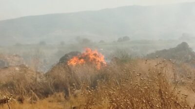 Yangın bugün saat 17:00 sıralarında Köşk, Altıeylül Mahallesinde meydana geldi.