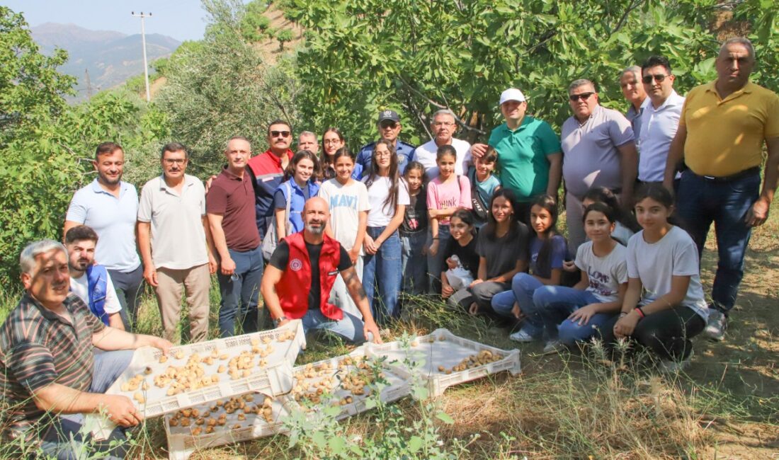 Köşk’te Gönüllü Hasat etkinliği Köşk Kaymakamı Hasan Taş ve Köşk Belediye Başkanı Nuri Güler,
