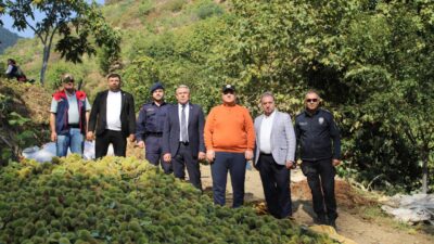 Türkiye’nin kestane üretiminde lider kenti olan Aydın’da hasat dönemi başladı.