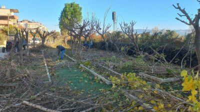 Köşk Belediyesi ekipleri, Belediye Başkanı Nuri Güler'in talimatıyla ilçe genelinde