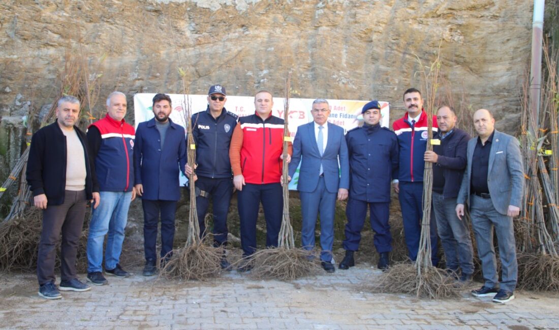 Köşk’te üreticilere kestane fidanı dağıtıldı Tarımda üretimin korunması ve çeşitliliğin artırılması amacı ile yürütülen çalışmalar