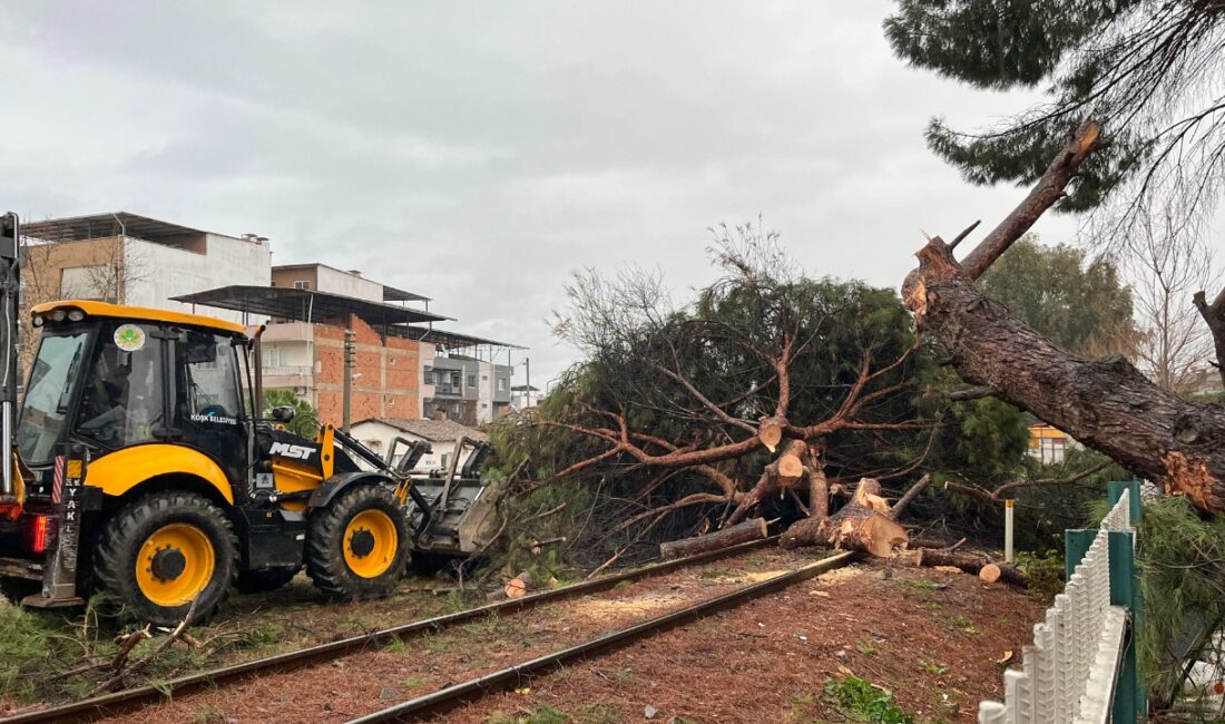 Köşk'te dün geceden bu yana ekili olan şiddetli yağmur ve