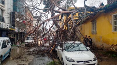 Köşk’te saat 11:00 sıralarında meydana gelen olayda, bir evin bahçesindeki
