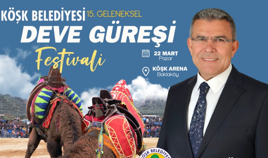 Köşk Belediyesi tarafından geleneksel hale getirilen Deve Güreşi Festivali bu