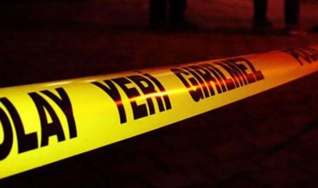 Yavuzköy Mahallesi, Bayırardı mevkiinde sabah saatlerinde üzücü bir olay yaşandı.