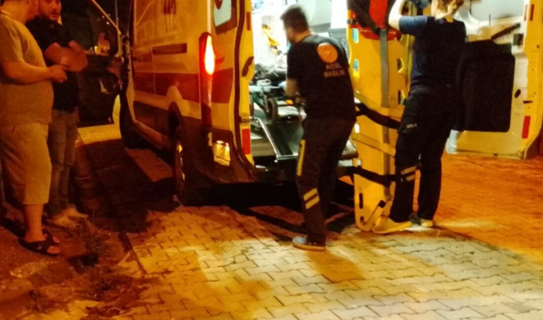 Olay, gece saatlerinde Soğukkuyu Mahallesi Şen Sokak’ta meydana geldi. Edinilen