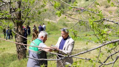 Köşk'e bağlı Sarıçam Mahallesi’nde bulunan Çatma Yaylası’nda, kestane üretimini tehdit