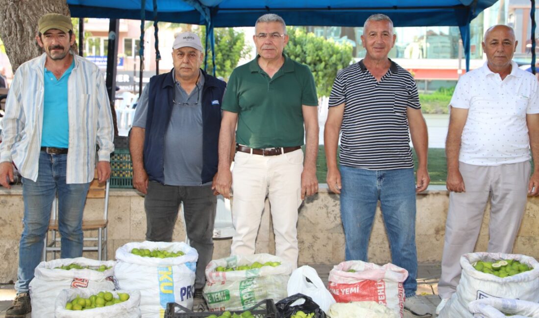 Aydın’ın dünyaca ünlü incirinin olgunlaşmasında önemli bir yere sahip olan
