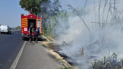 Köşk'e bağlı Yavuzköy Mahallesi yakınlarında yol kenarındaki sazlık alanda çıkan